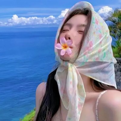 海燕双飞