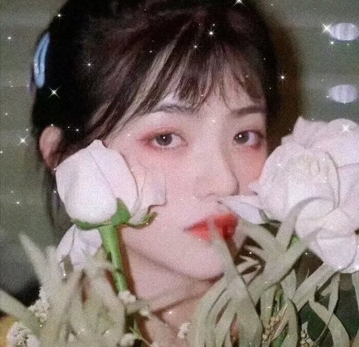 锦上添花
