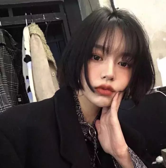 科搜研之女2022